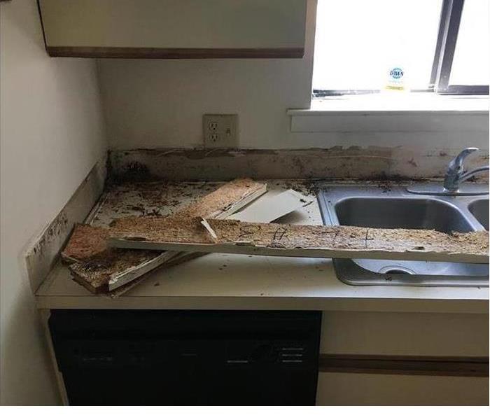 kitchen showing storm and mold damage