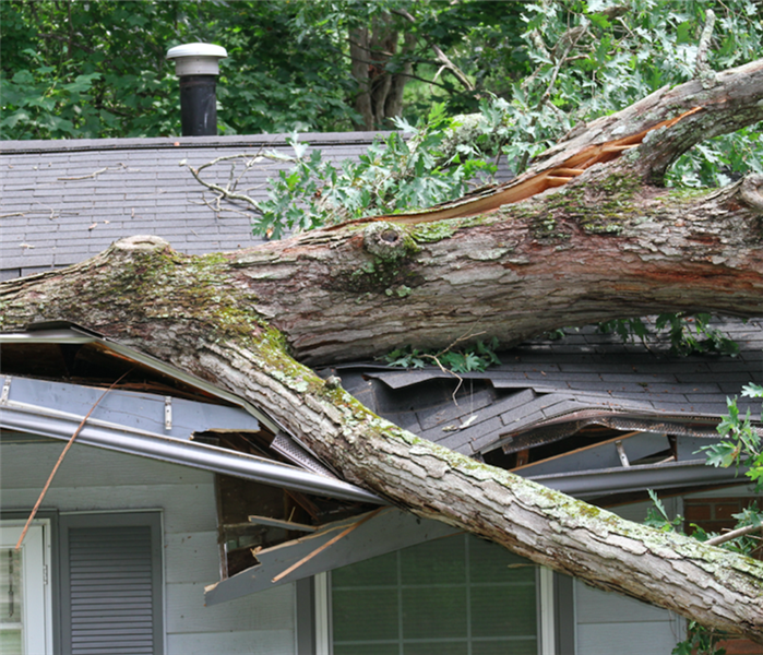 tree crashed through roof of Jacksonville homeowner during storm