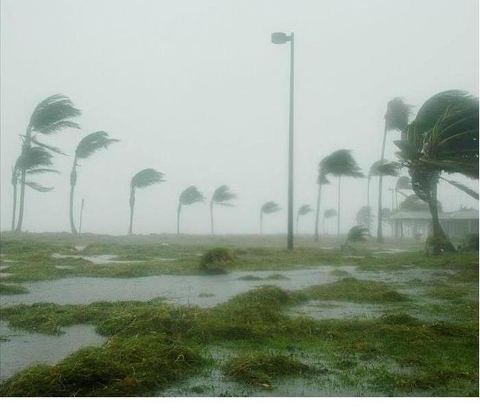 Florida Storm Flooding